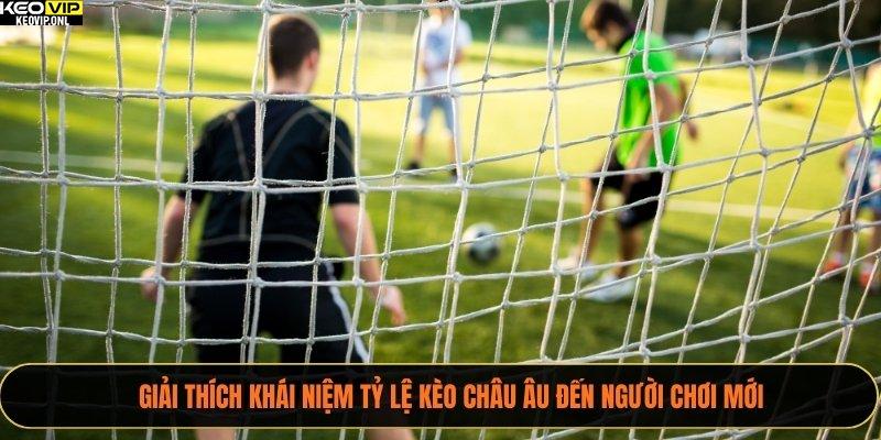 Cách Đọc Tỷ Lệ Kèo Châu Âu Chuẩn Nhất Dành Cho Bạn 2025 2 Giải thích khái niệm tỷ lệ Kèo Châu Âu đến người chơi mới